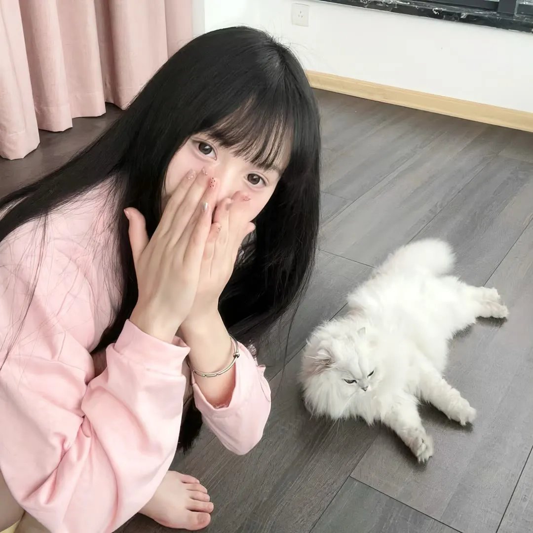 燕尾蝶